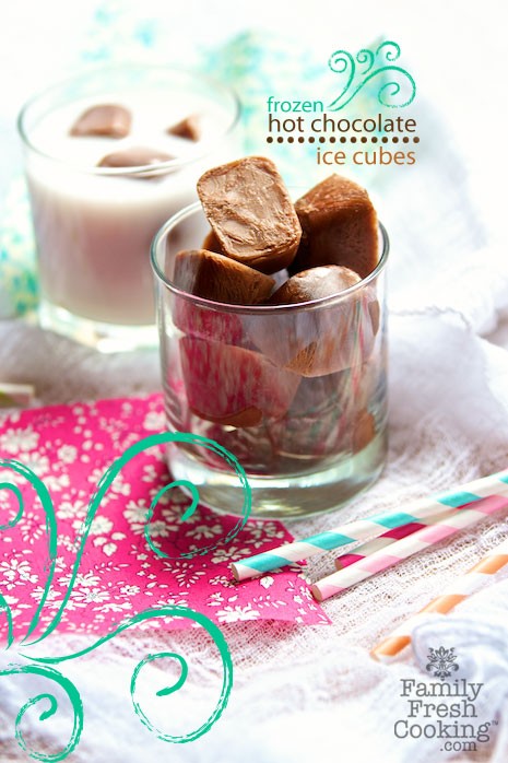 Chocolate Ice Cubes Marla Meridith IMG 95491   7 Favourite Vegan Recipes From Family Fresh Cooking!
